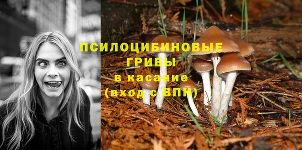 спиды Баксан