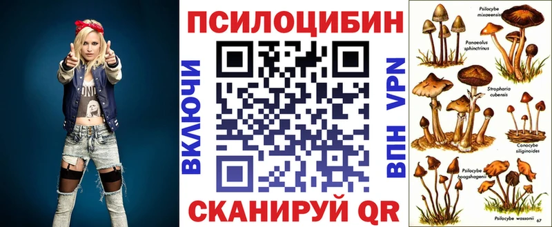 Купить  Нефтегорск  Галлюциногенные грибы MAGIC MUSHROOMS 